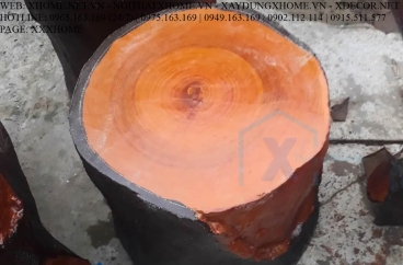 Đôn Ghế Giả Gỗ Gốc Cây